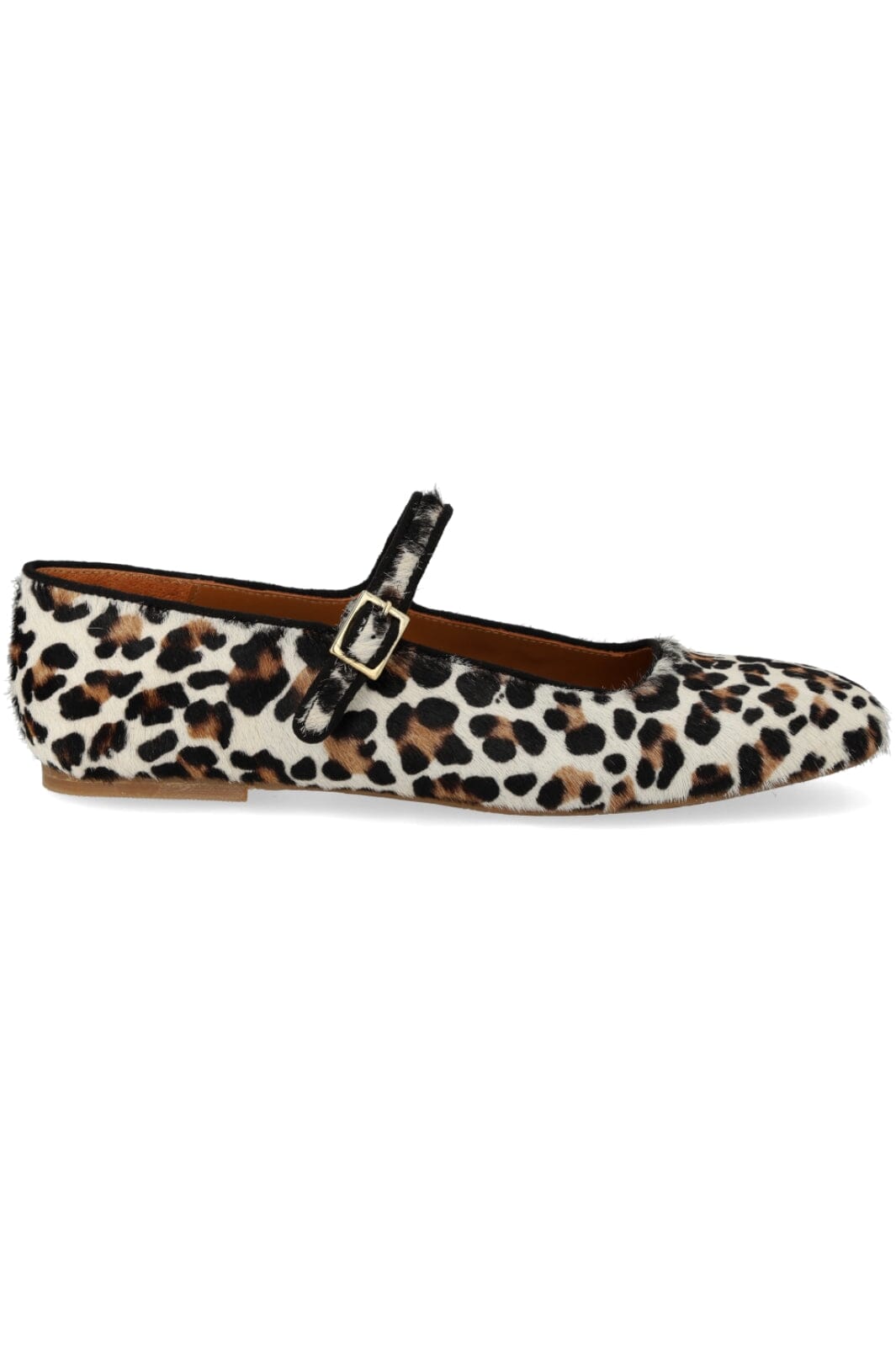 ANGULUS - 1704-101 - Leopard/Black