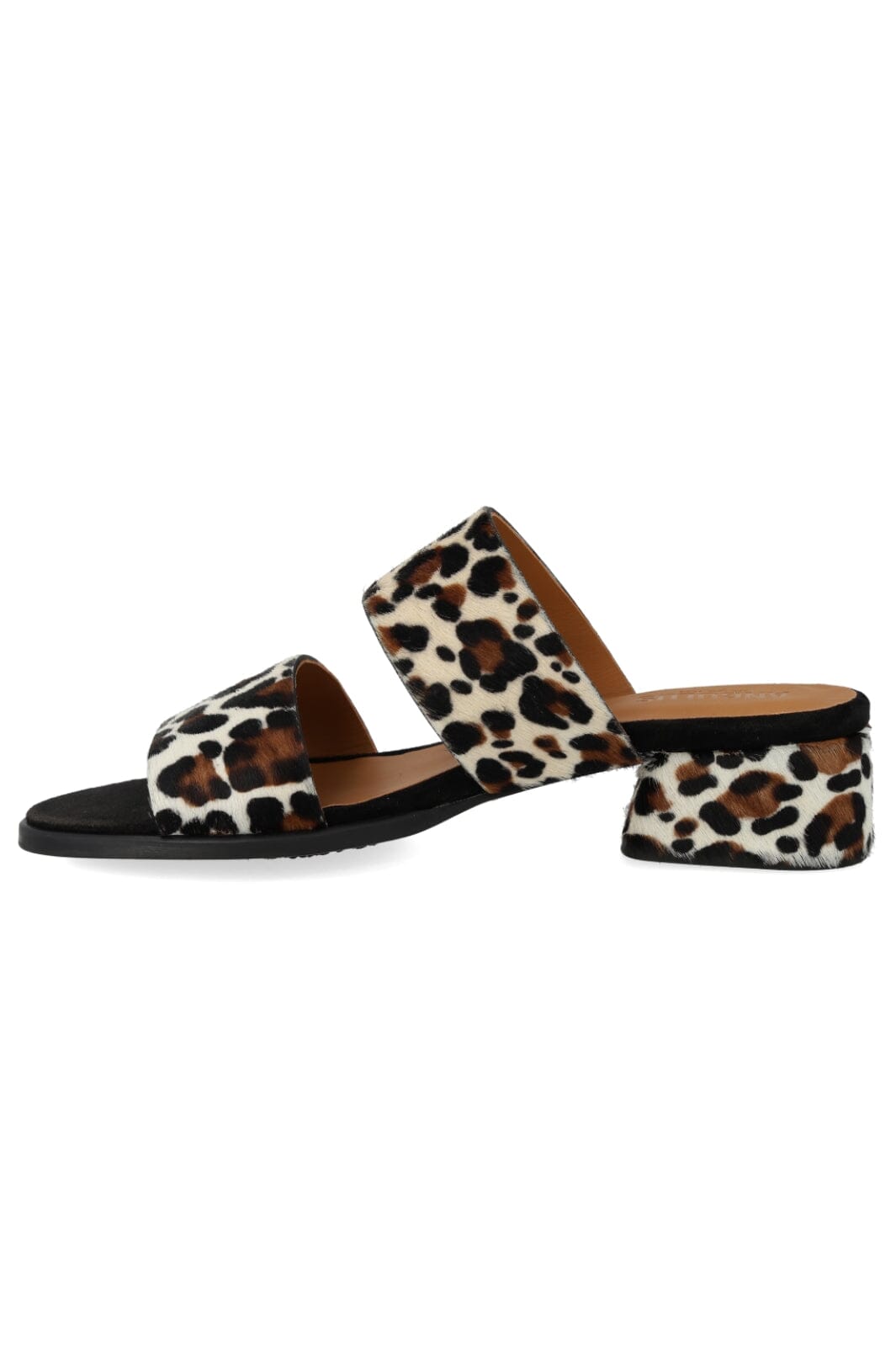 ANGULUS - 5848-102 - Leopard/Black