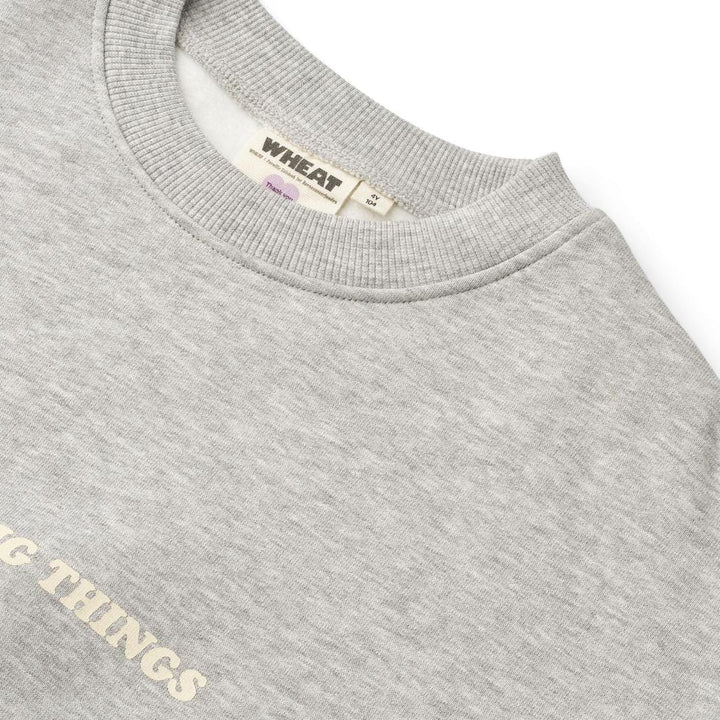 Wheat Collab - Crewneck Allo - 0105 Grey Melange